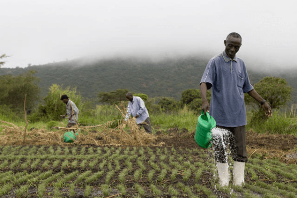 sustainable- agriculture