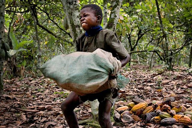 child labour