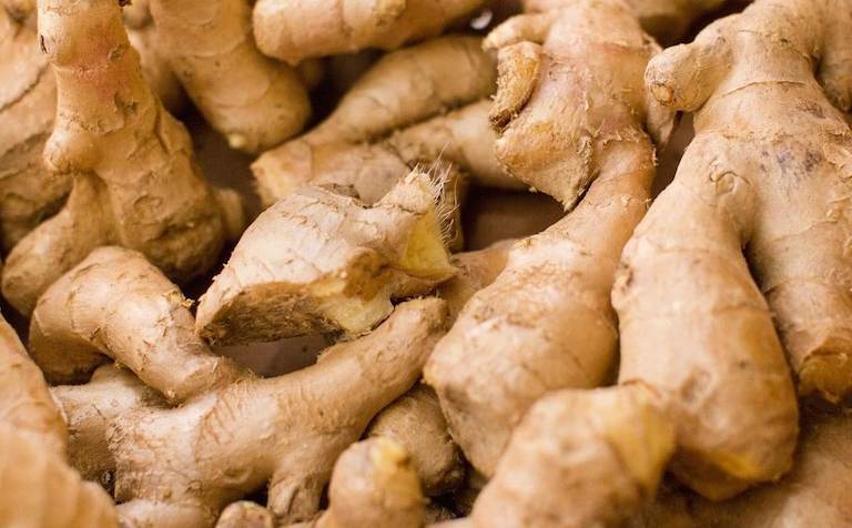 ginger (1)
