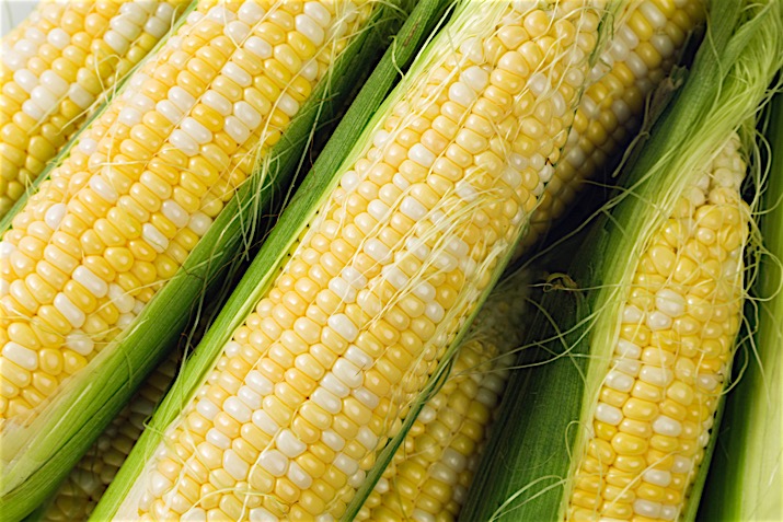 maize