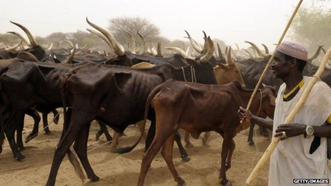 Ruga settlements