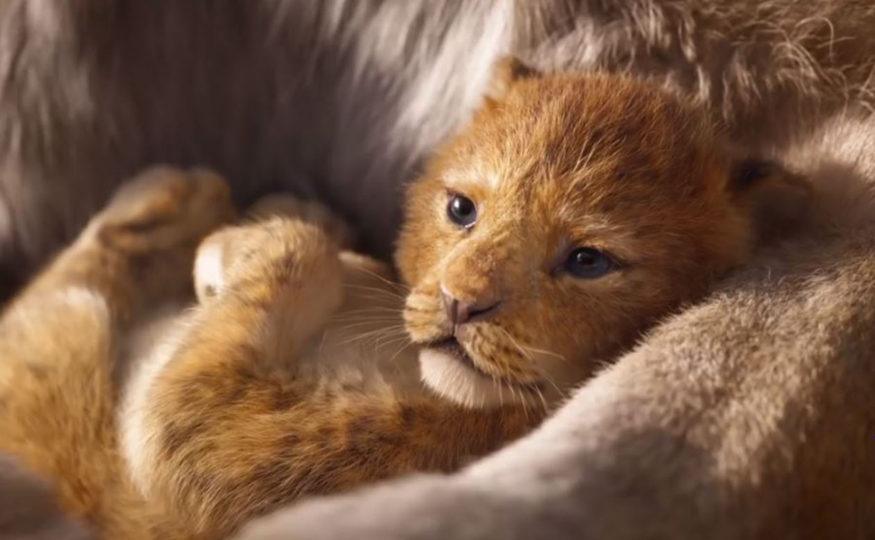 The Lion King movie