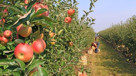 Agritourism