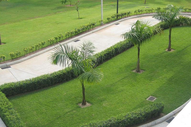 landscaping