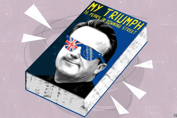 david cameron (2)