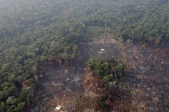 Brazil tells rich countries to pay up to protect Amazon