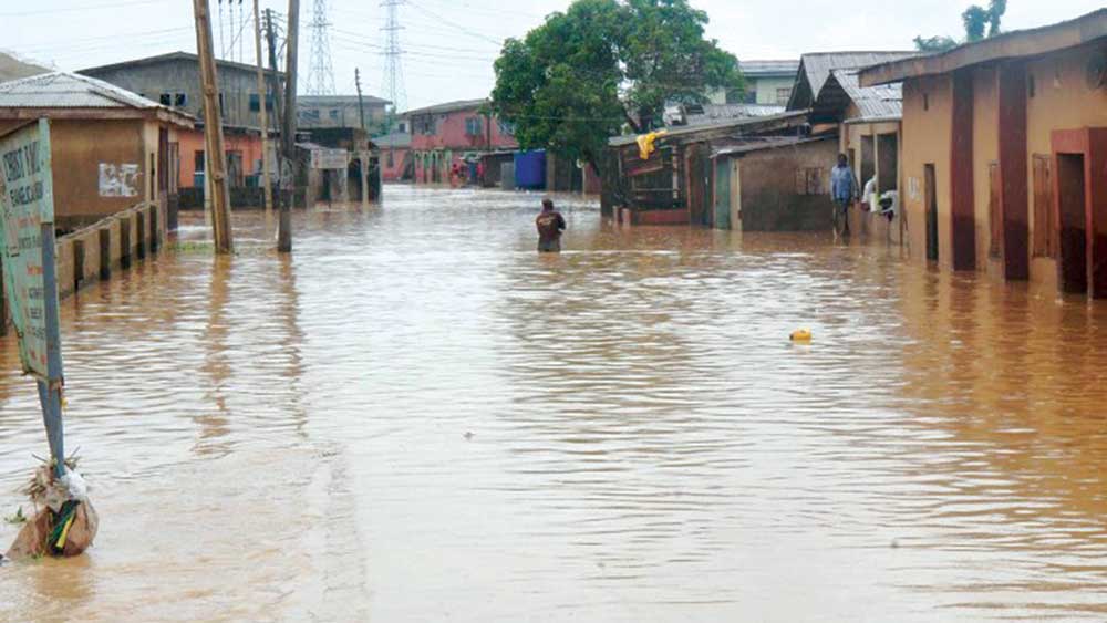 Flood-3