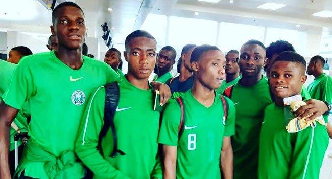 Golden Eaglets