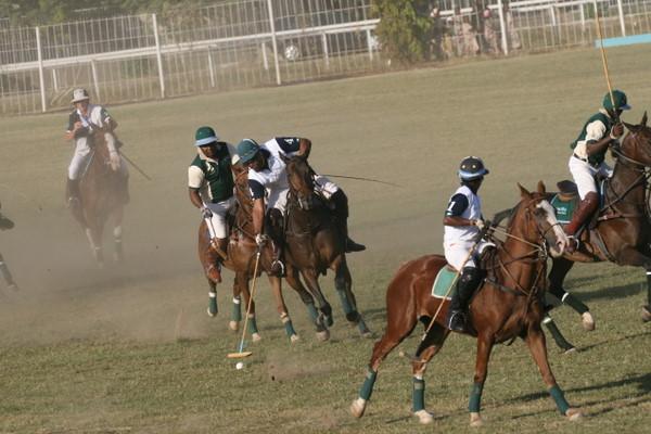 Polo Pix (2)