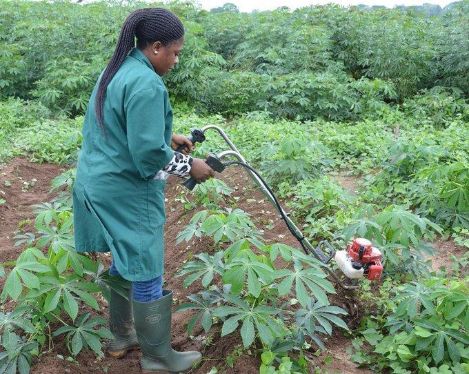 AgroNigeria
