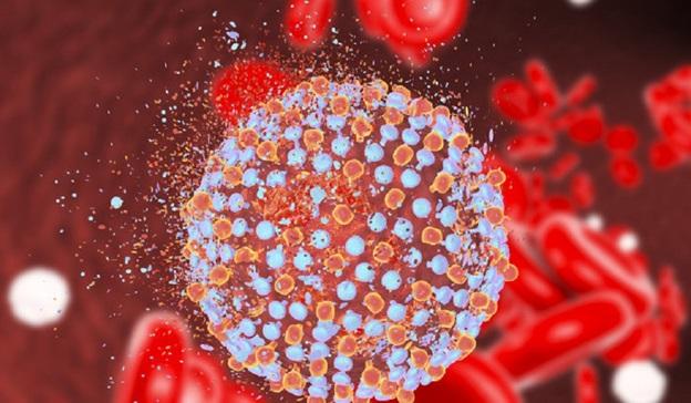 Hepatitis C