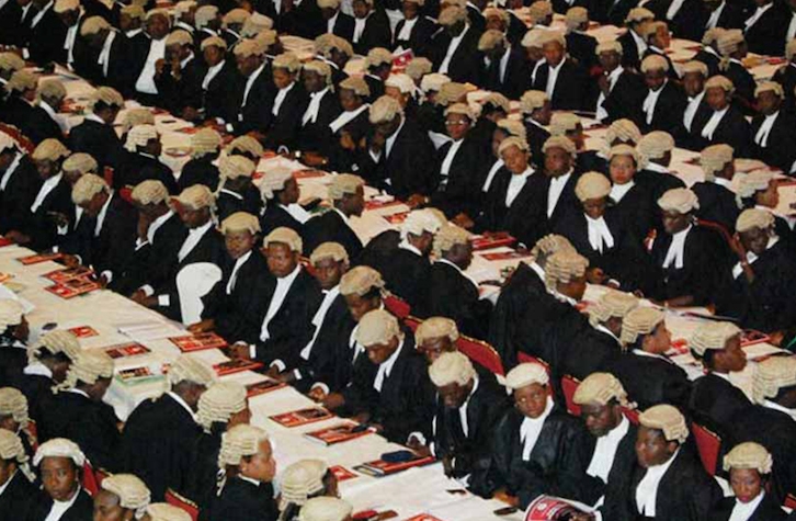 Nigerian-lawyers