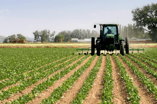 agro industrailastion