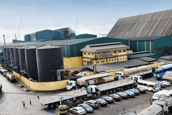 dangote sugar plant