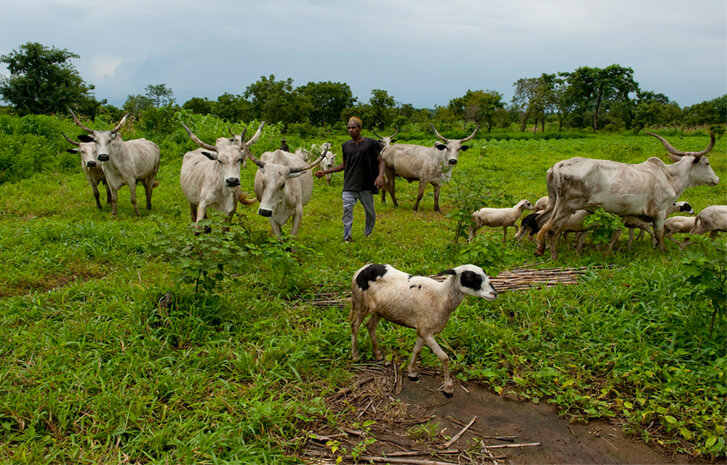 FG’s annual 1.4% agric budget fails to farmers’ productivity – Report