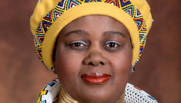 Nigeria-South Africa relations blossom again