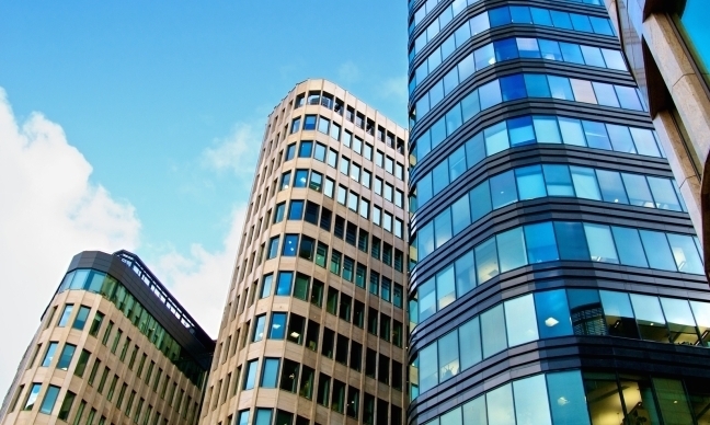 real estate sector