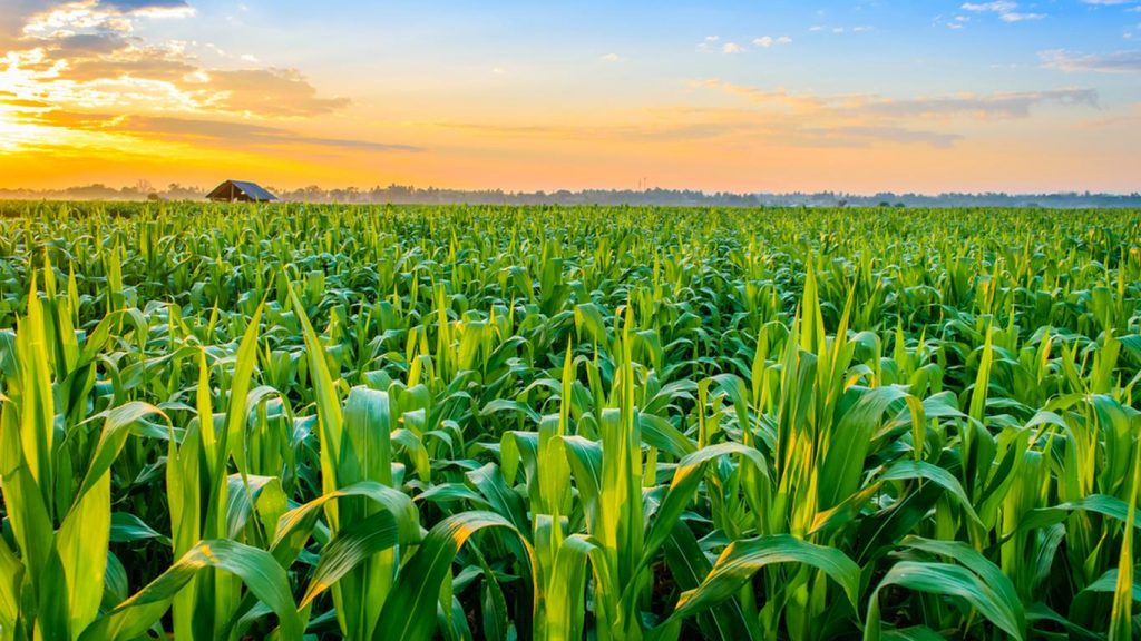 Delta Agribusiness Finance and Investment summit