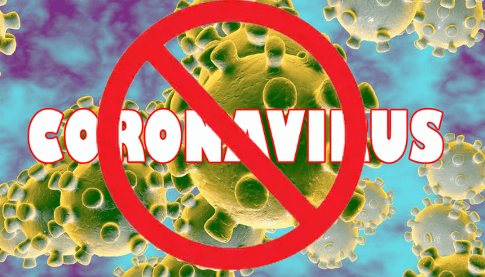 coronavirus (4)