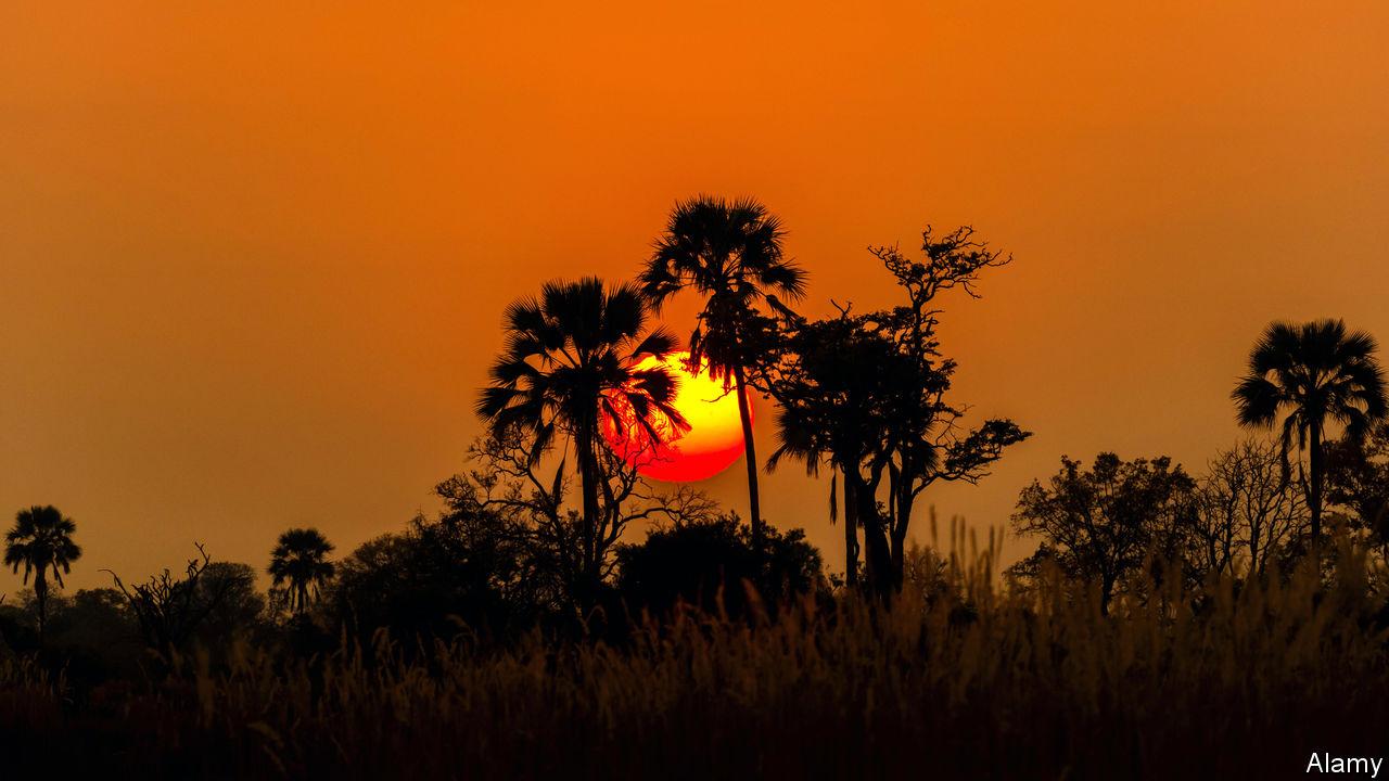 sub-saharan africa