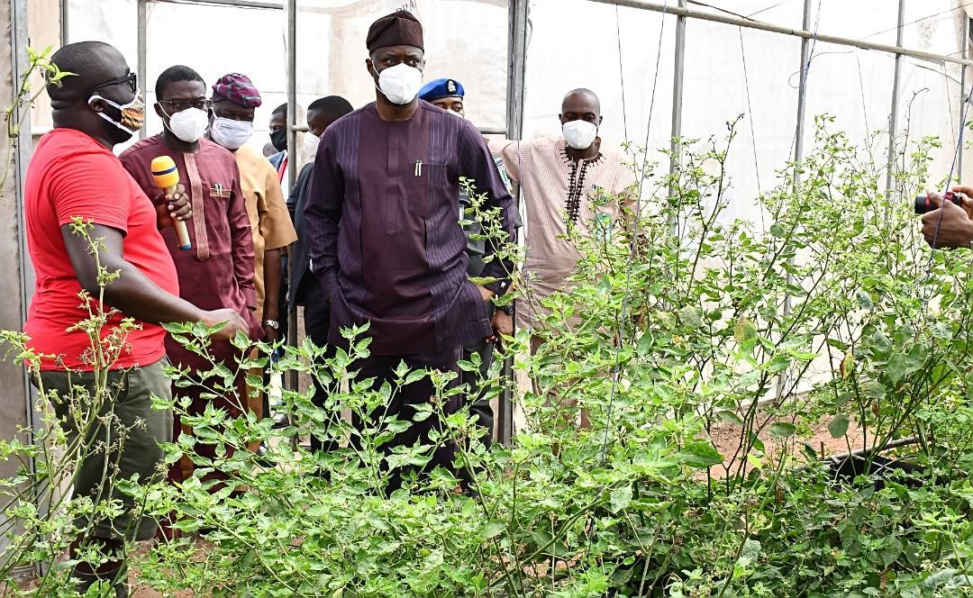 Makinde-Akufo Farm Settlement