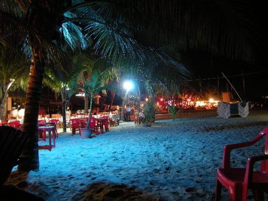 Night life