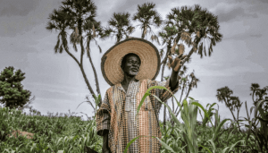 A Farmer