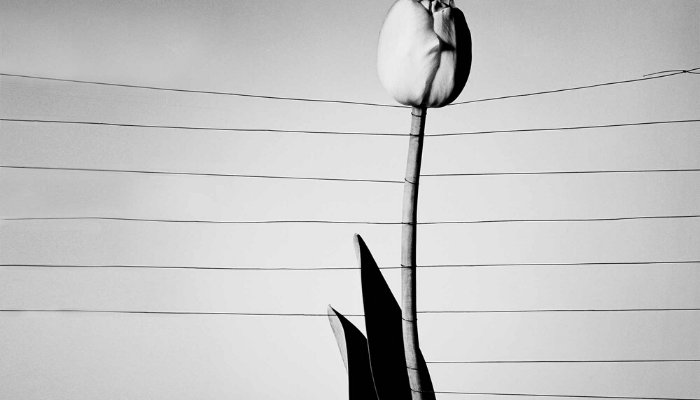 Untitled design (67)