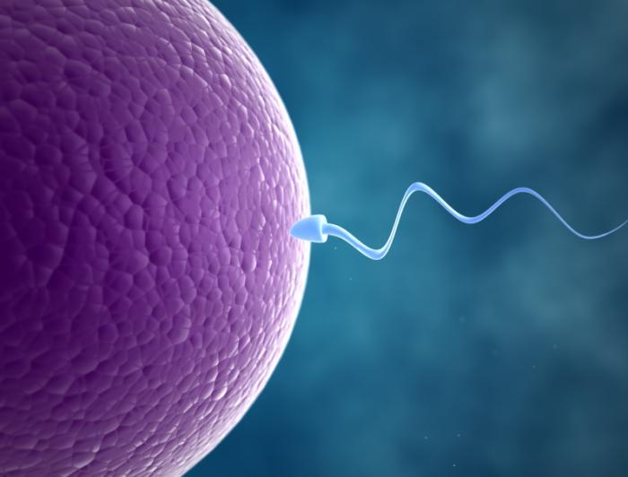 infertility
