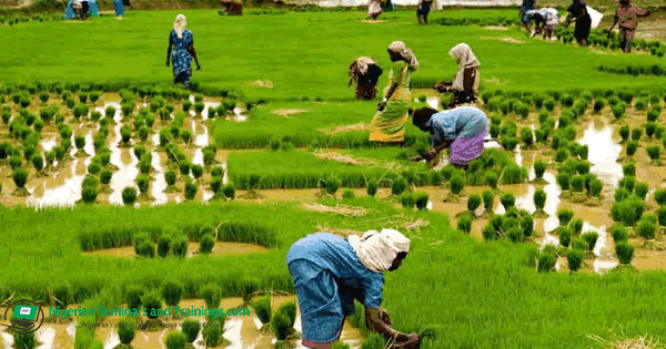 agriculture
