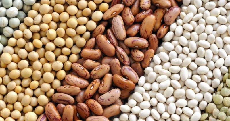 grains