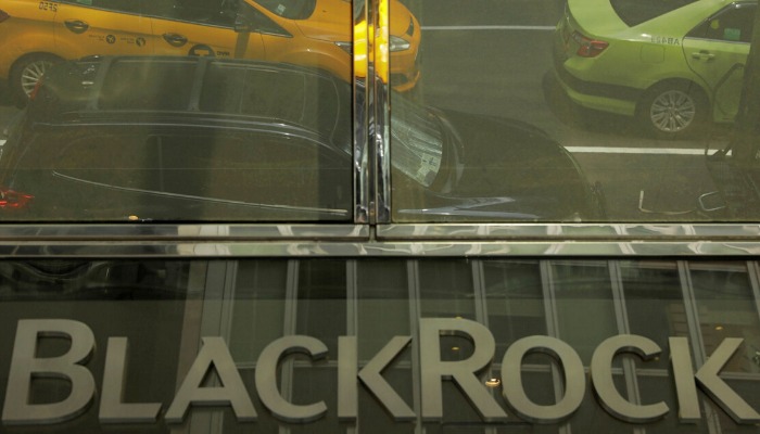 BlackRock punishes 53 companies over climate inaction