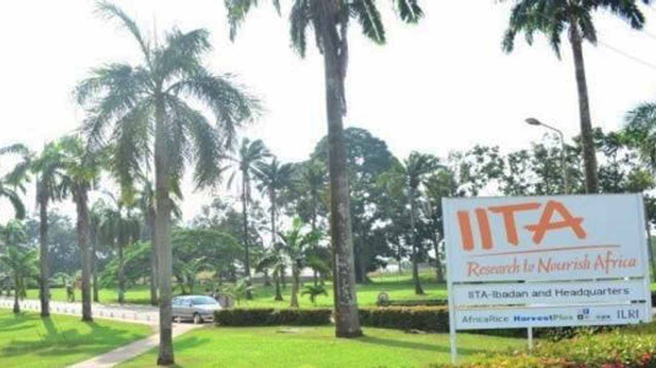 Tropical Agriculture