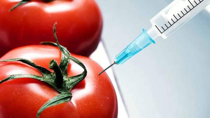 Agricultural Biotechnology