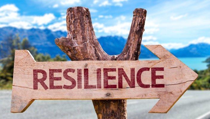 Resilience