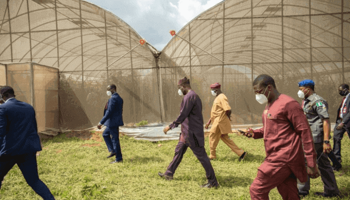 Oyo approves $1.2m for agribusiness initiative in six geopolitical zones