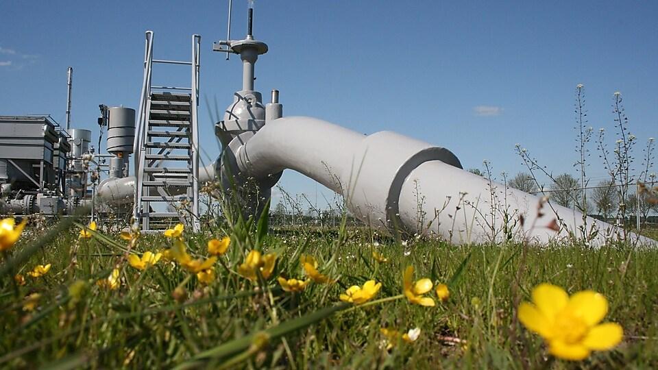 gas-pipeline