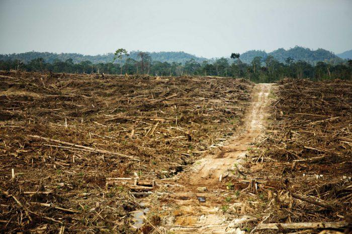 Ondo residents protest land grabbing
