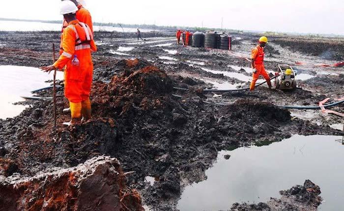 Ogoni clean-up
