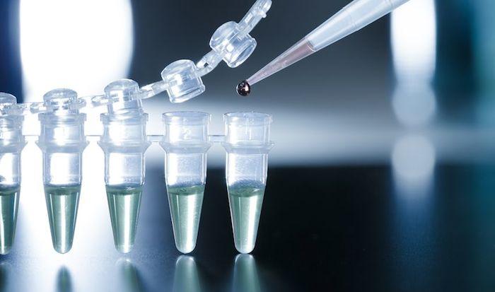 PCR test
