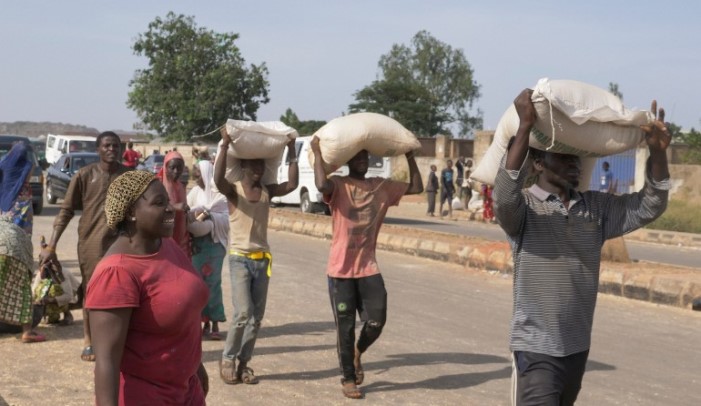 Adamawa-youths