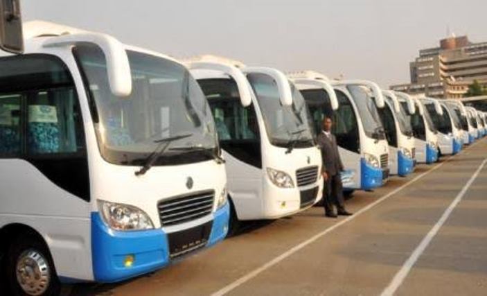 mass transit buses