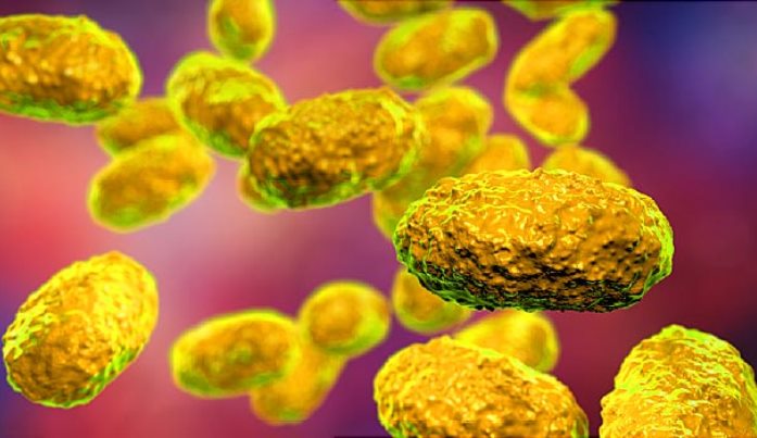 non-communicable diseases