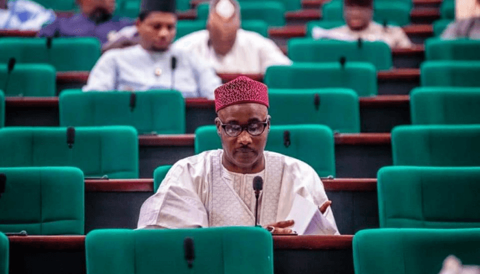 Lawmakers threatens to cancel new power projects in 2021 budget