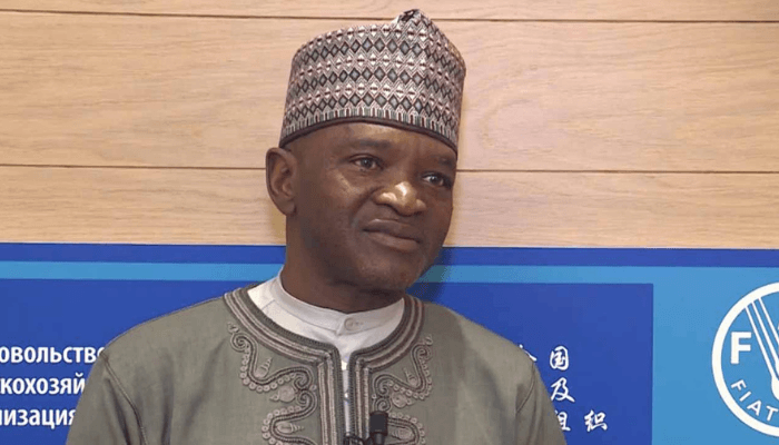 FG reviews policy on forest management as Obasanjo calls for fight against illegal tree felling