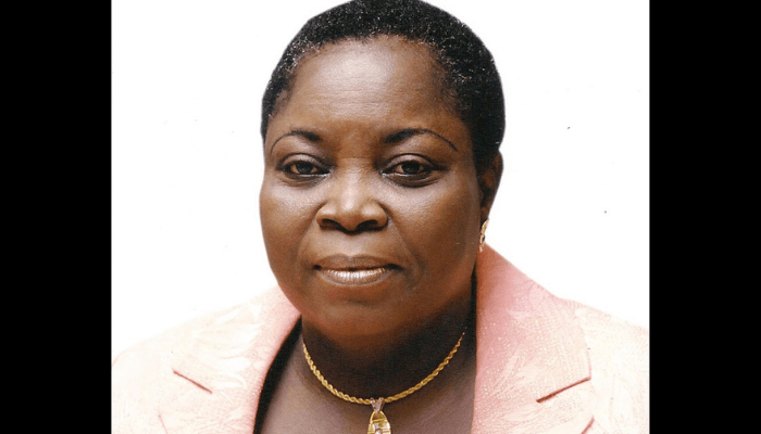 Lagos auditors urged to raise level of professionalism, competence