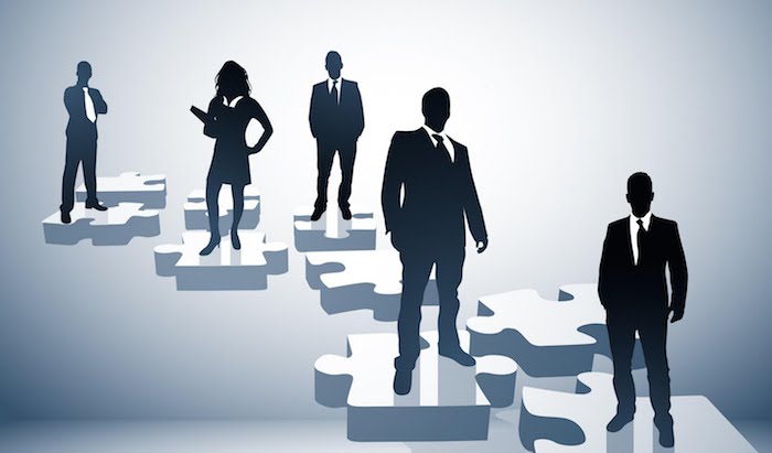 management team