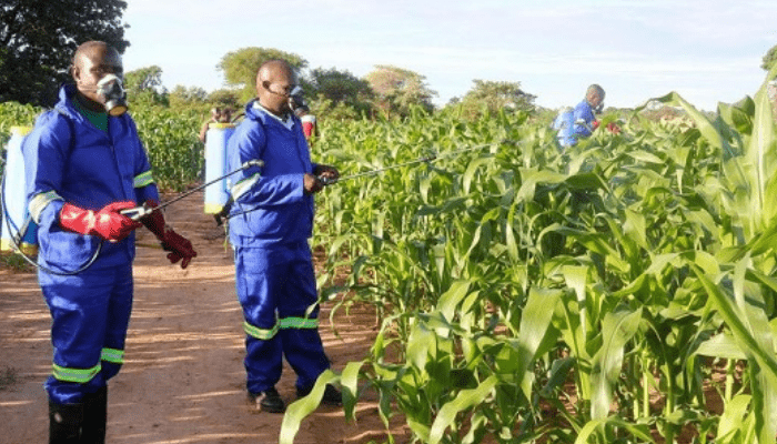 Agbitech, GAIL partner to distribute Fawligen biological control for Fall Armyworm in Nigeria