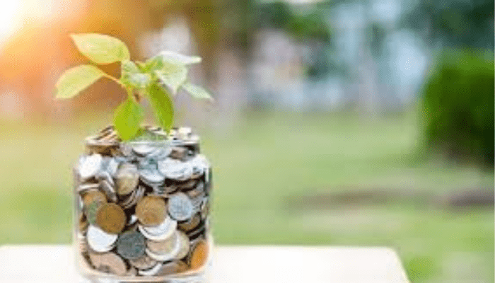 Here are stocks you can put your money