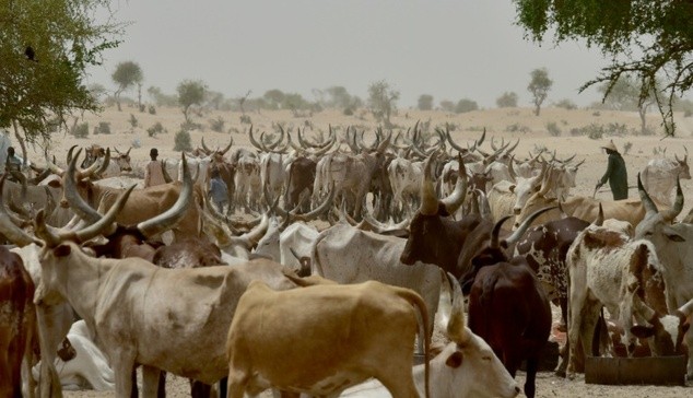 herders-farmers-clash